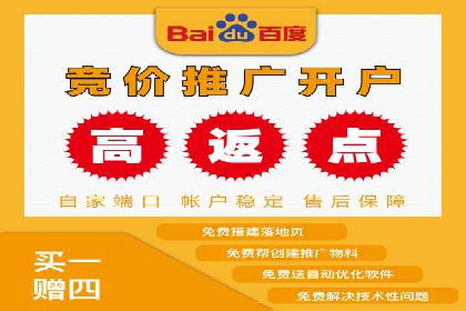 竞价推广策略：某电商平台的成功案例